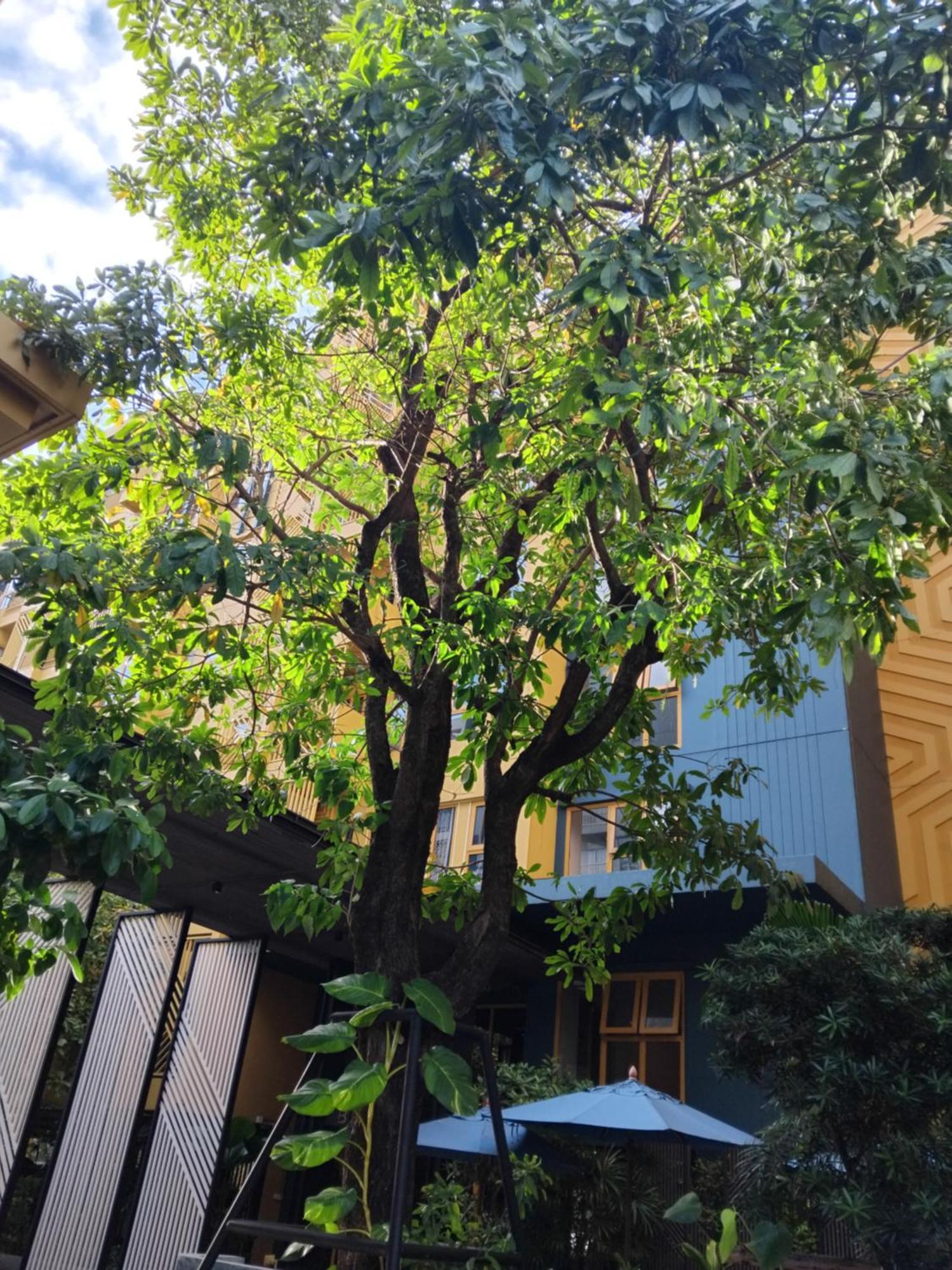 Ferienwohnung Brissluxe At Bts Onnut Sukumvit 50 Bangkok Exterior foto